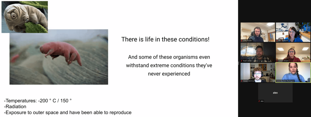 Screen Shot 2021-11-17 at 15.07.06 (3)