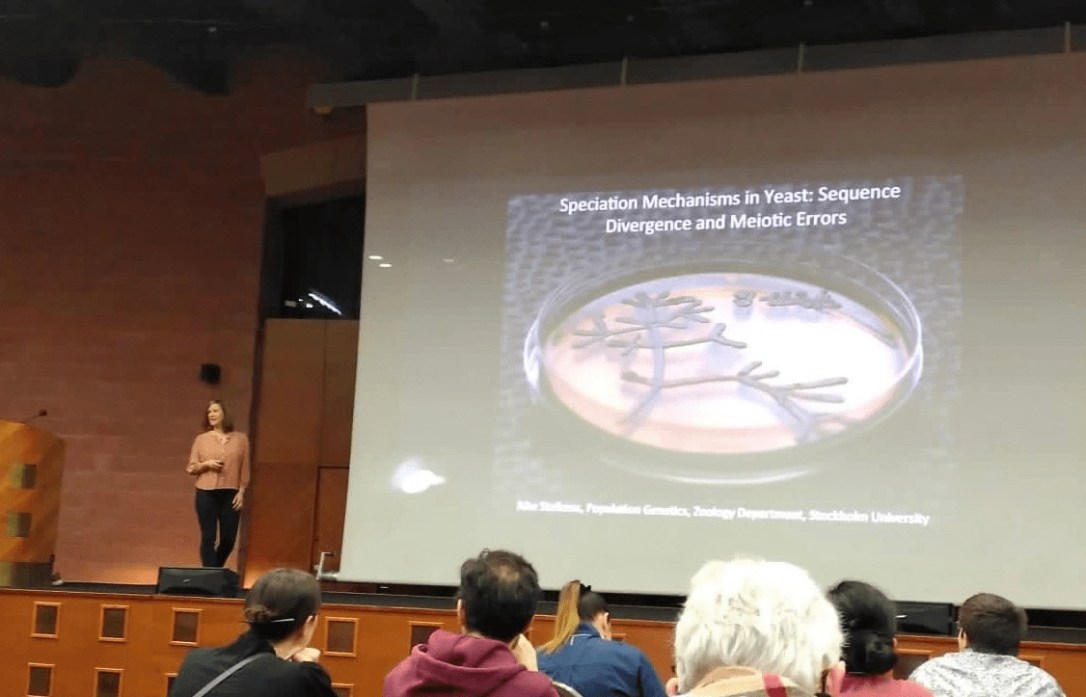 ff1210f3-fdd9-4a9c-9654-a7d9273640a7 2