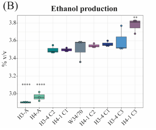 Screenshot 2024-02-06 at 16.57.47