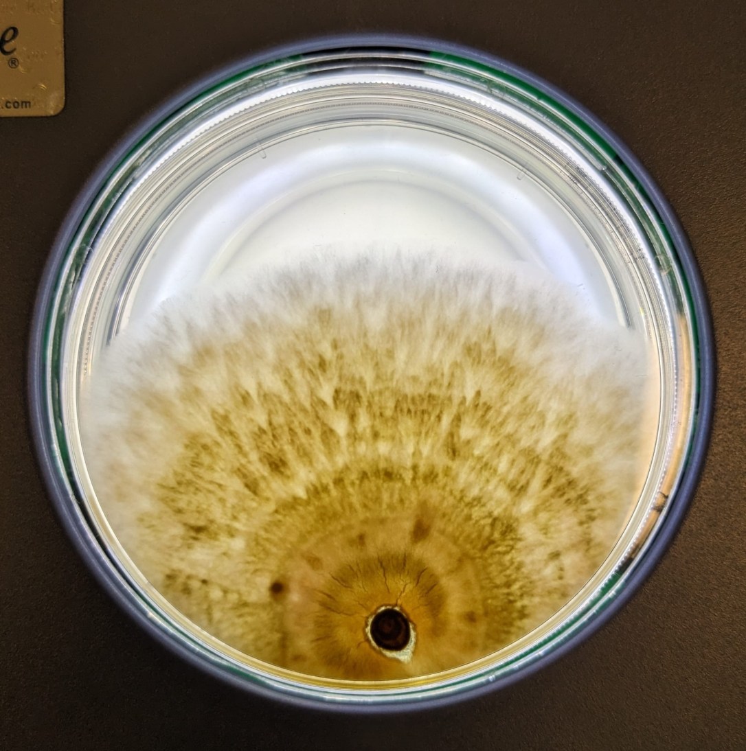 a3cd3887-226f-43c6-a99b-6c3dabced334 2